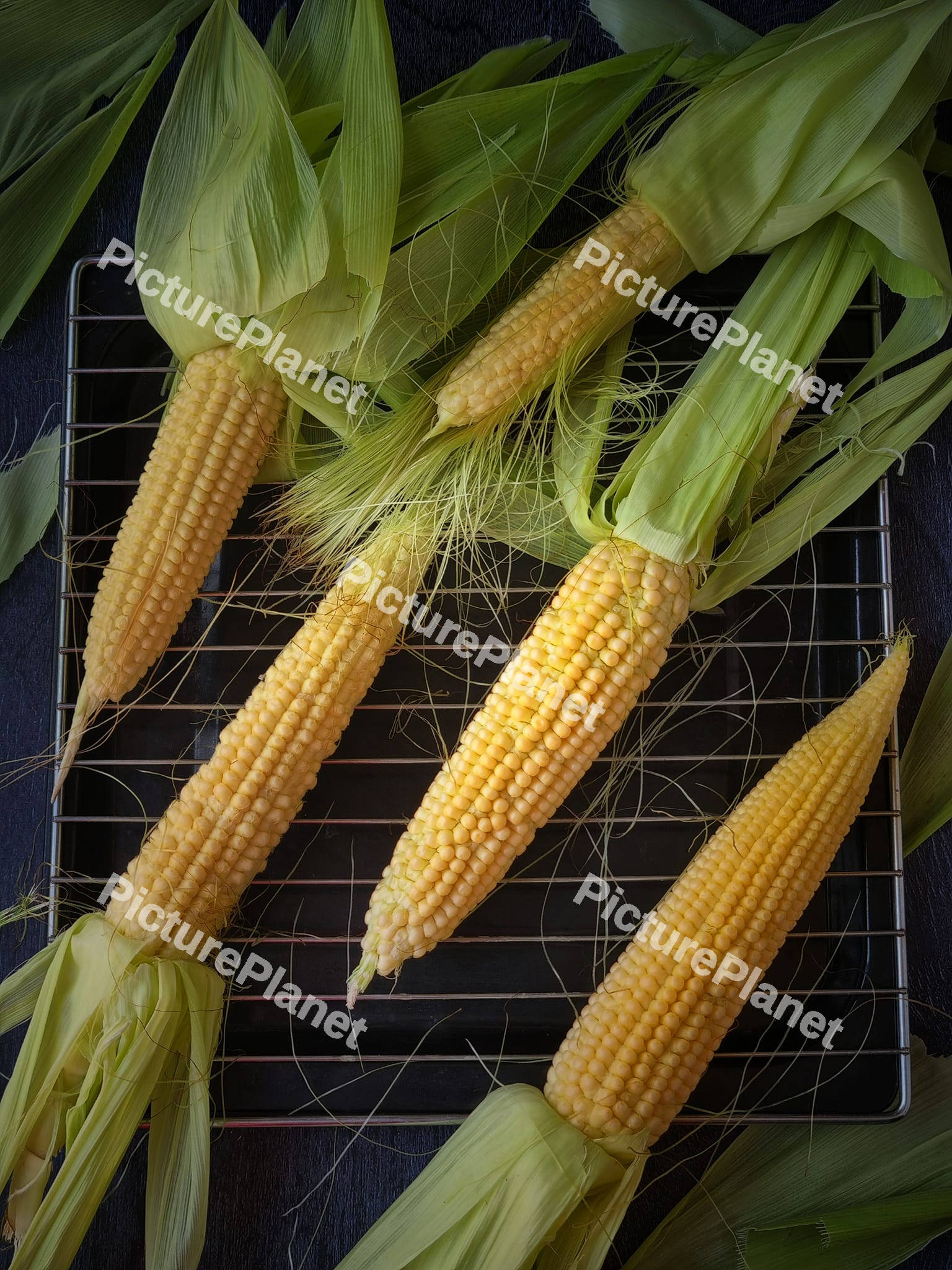 Corn cobs on a tray